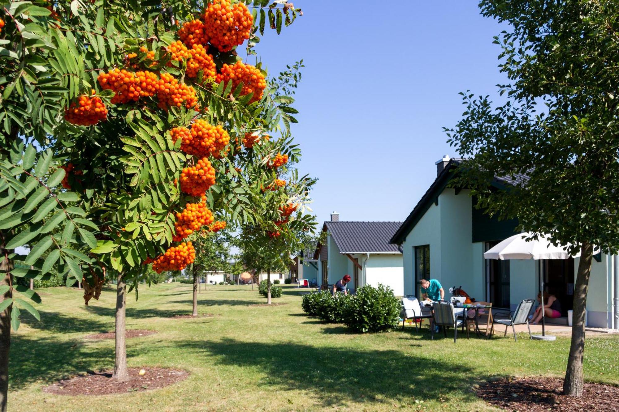 Seepark Auenhain Markkleeberg Szoba fotó